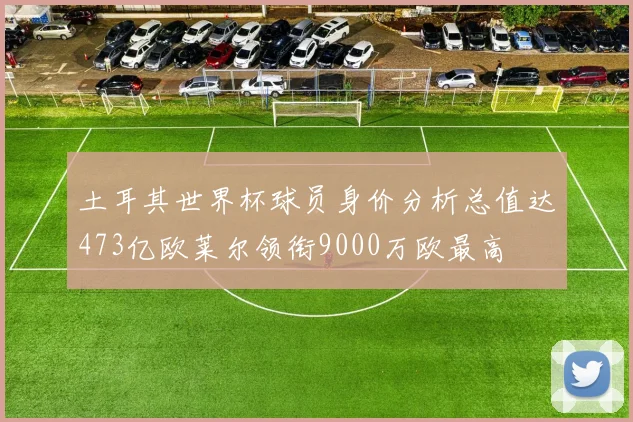 土耳其世界杯球员身价分析总值达473亿欧莱尔领衔9000万欧最高